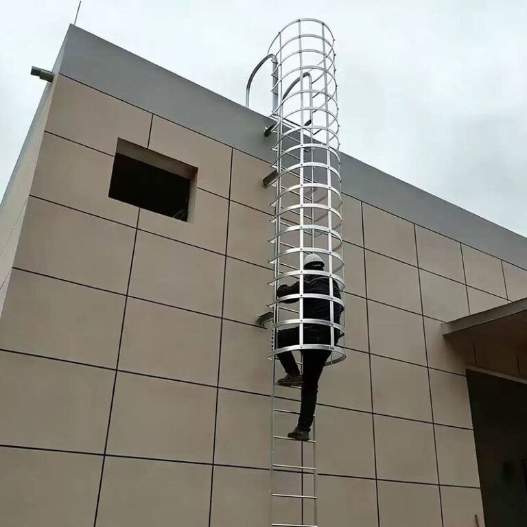 Galvanized vertical cage ladder for roof access and industrial buildings