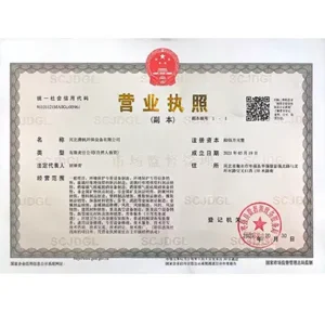 Steel Ladder with Safety Cage | Xiaofan Safety 19 AAA enterprise credit rating certificate for steel ladder manufacturer