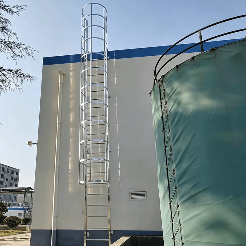 304 stainless steel tank access ladder with safety cage