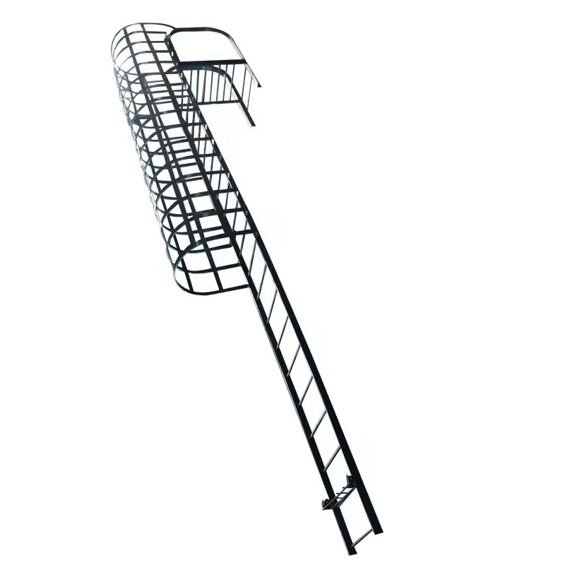 Black steel fixed ladder with safety cage product view