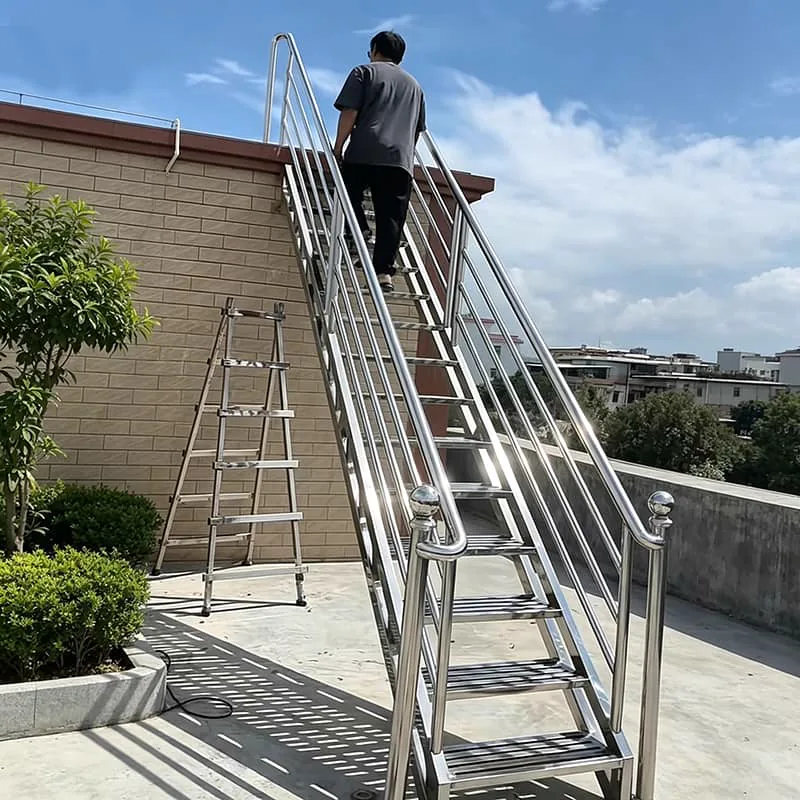 Mezzanine platform ladder with handrails for industrial access